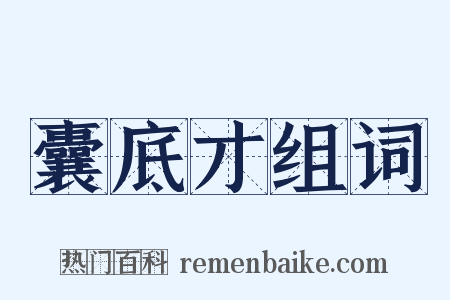 囊底才组词是什么意思的图片